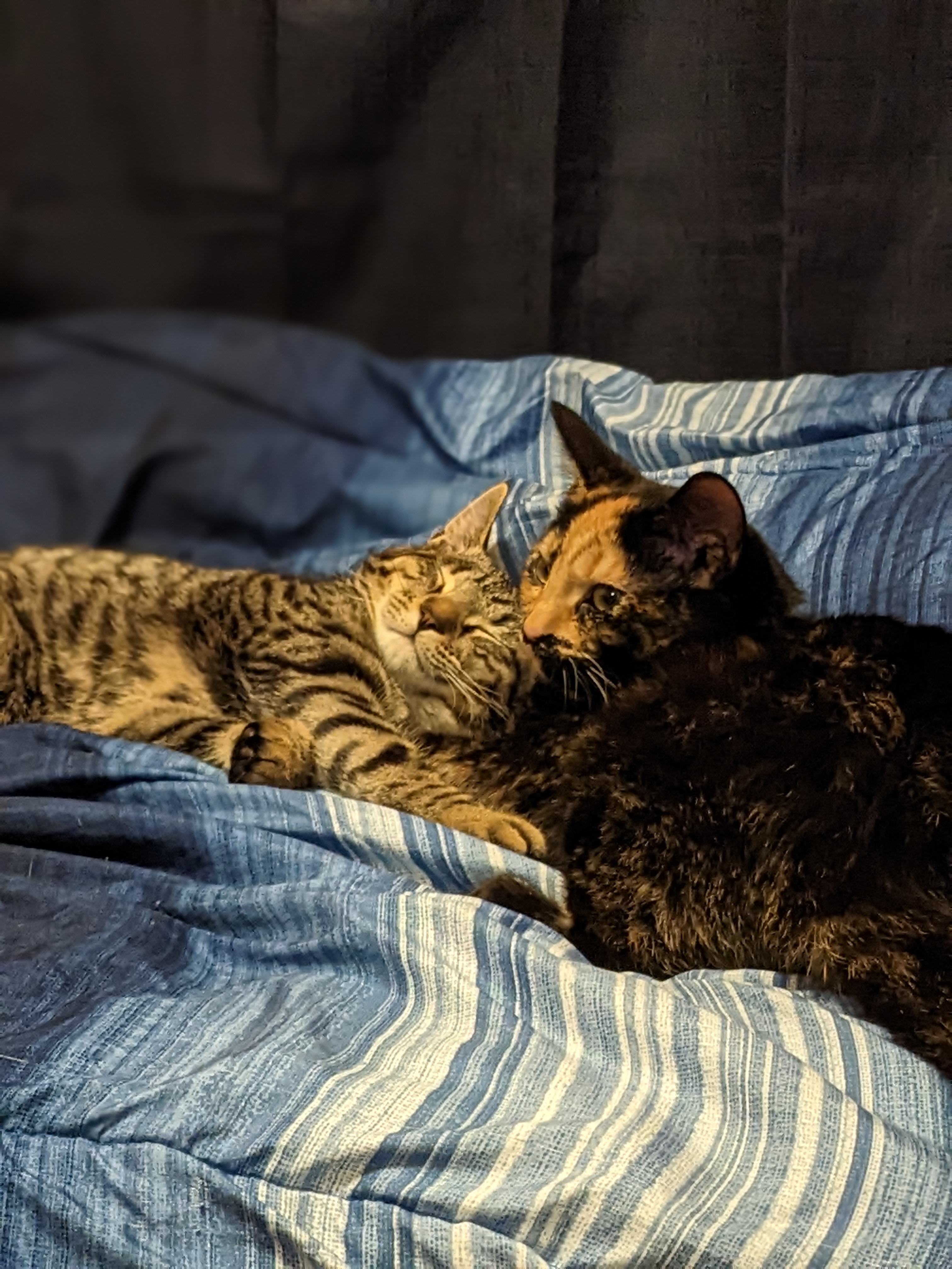 Hobby Image